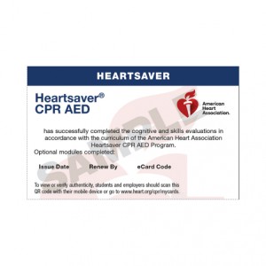 (20-3004) 2020 HS CPR AED Provider eCard