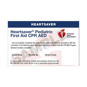 (20-3003) 2020 HS PEDIATRIC First Aid CPR AED eCard 